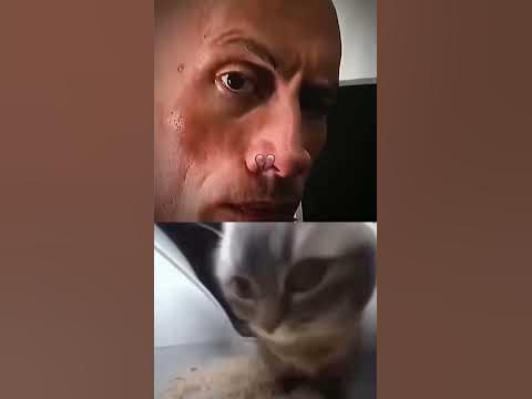 Тип скала Джонс крова ты в тренде😂🤣 - YouTube