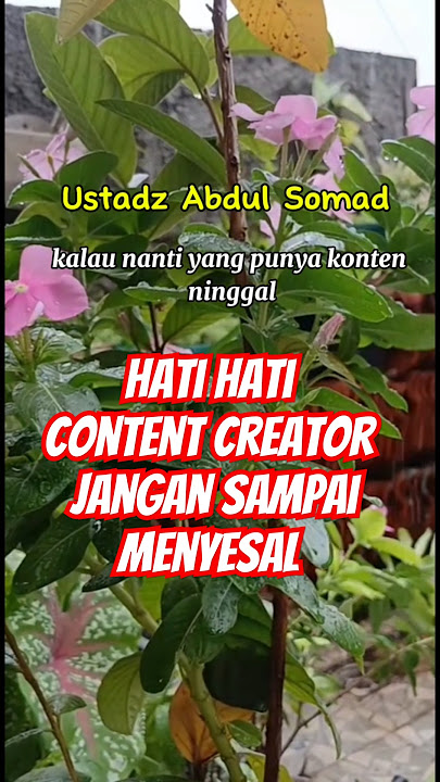 CONTINUOUS SINS FROM CONTENT #ukhtyhijrah #ustadabdussomad #ustadzabdulsomad