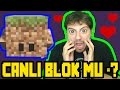 Minecraft Canlı Block Modu [ Blocklings Mod 1.10.2 ]
