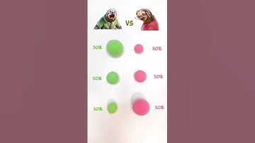 Zootopia Flash and Priscilla mixed together🎨 #zootopia2 #colormixing #satisfying #sharkzhan