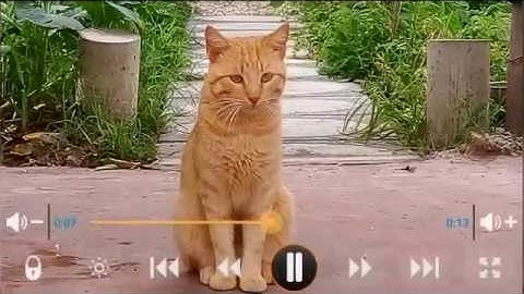 install RealPlayer - Android Apps on Google Play 2017