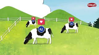 Leche Beta-caseína A2 Colun