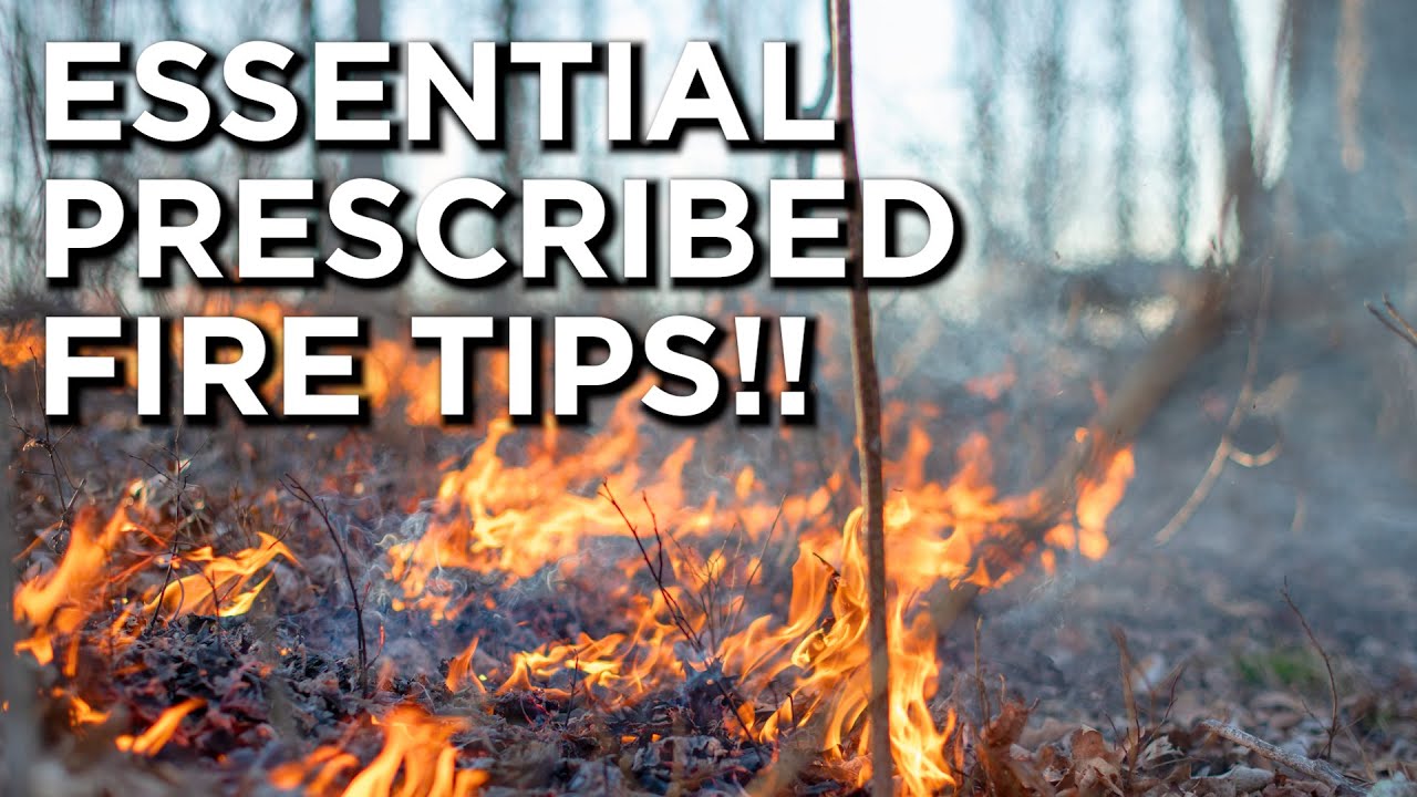 Top 5 Considerations BEFORE Prescribed Fire!! - YouTube