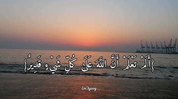 القارئ ياسر الدوسري - {ألم تعلم أن اللّه على كل شيء قدير ألم تعلم أن الله له ملك السماوات والأرض}