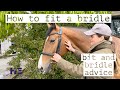 HOW TO FIT A BRIDLE | MY FAVOURITE BITS AND BRIDLES