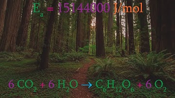 Physical Chemistry, Part 6:  Enzyme Kinetics and the Michaelis-Menten Equation