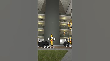 Banana! Maxwell Cat! Nextbot Run in Gmod. They Are Everywhere?