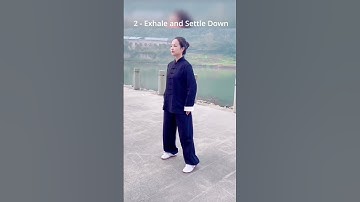 Step 1 of 24 Yang style Tai Chi detailed tutorial