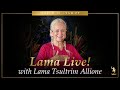 Lama live with lama tsultrim allione  sunday march 10 at 9am pt