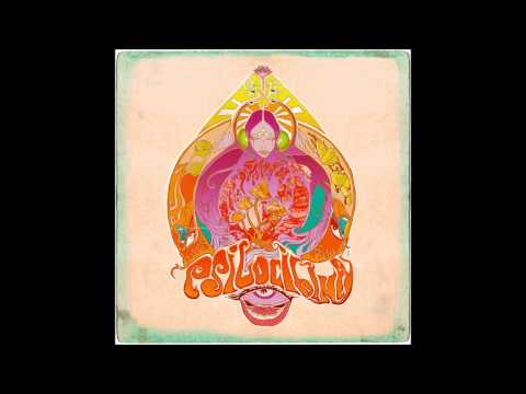 Edu Viola — Apartamento Azul Psilocibina