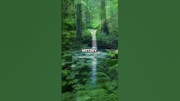 Crazy History Facts You WON’T Learn Anywhere Else #CrazyHistoryFacts #CuriousHistoryHub #HistoryLove