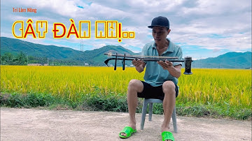 ĐÀN NHỊ CẦM..| KHÚC ĐÀN VÙNG QUÊ..| ĐỘC TẤU ĐÀN NHỊ #trilamnong