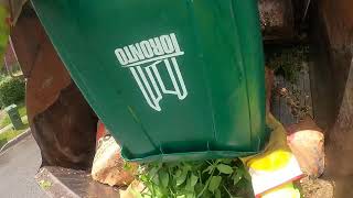 POV Yard Waste Wet Day