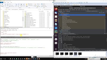 Python script to copy files from the remote server