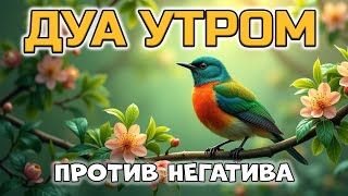 картинка: МОЩНОЕ УТРЕННЕЕ ДУА ОТ НЕГАТИВА И СГЛАЗА! 🤲✨