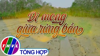 Nhịp sống đồng bằng: Đi mong giữa rừng bần