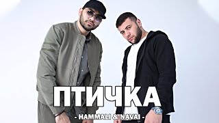 HAMMALI & NAVAI - ПТИЧКА (Текст песни)