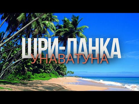 видео: Шри-Ланка, Унаватуна. Март 2024.