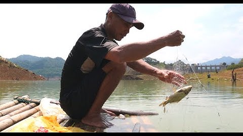 Thả Lưới Bắt Cá Cuộc Sống Mưu Sinh Trên Hồ Thủy Điện Cửa Đạt
