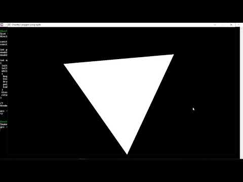 First use of raylib