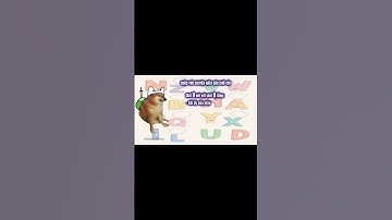 Ding Ding memes: Cuộc trò chuyện giữa các chữ cái