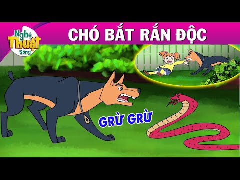 Video: Rắn Cắn Và Chó - Rắn độc Nhất đối Với Chó