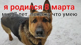Джейкобу 7 лет - разные команды и большое зеркало Джейкобу 7 лет - разные команды и большое зеркало