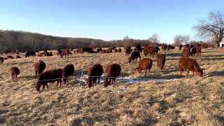 Want to build your own grazing operation? Here is your list of what you don’t want to do.