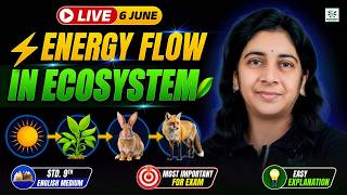 Dr Homi Bhabha Exam 9th Standard 2026-27: Energy Flow in Ecosystem | Bioworld with Gauri Mam