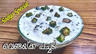 เดตเตเดฃเตเดเดฏเตเดเตเด เดชเดเตเดเดเดฟ | LADIESโ FINGER PACHADI | VENDAKKA PACHADI |