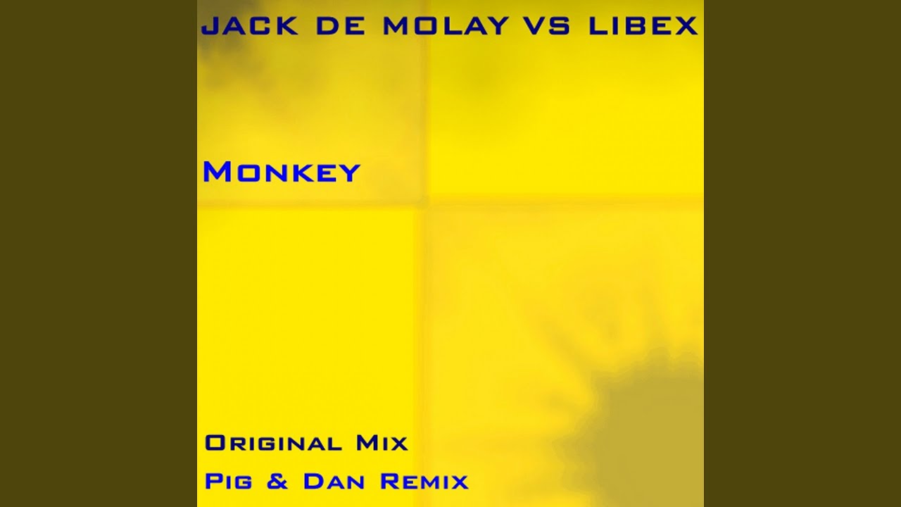 Watch Monkey (Pig Dan Remix) on YouTube