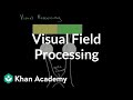 Visual field processing | Processing the Environment | MCAT | Khan Academy