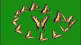 Realistic Butterfly Effect Green Screen: No Copyright Cinematic Stock Footage