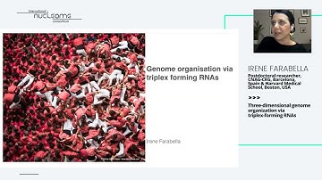 Irene Farabella: "Three-dimensional genome organization via triplex-forming RNAs" - INC