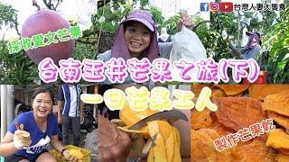 【台灣人妻大隻食】台南玉井吃芒果! 一日芒果工人! 採芒果採到 ...