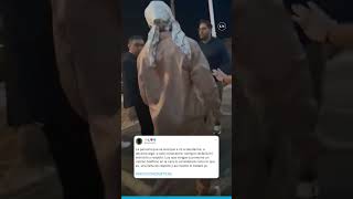 Bad Bunny Le Tiró El Celular Al Agua A Una Fan Que Lo Filmaba Y Luego Se Defendió De Las Críticas