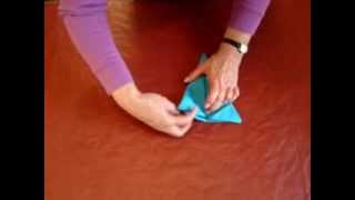 instructable critter 048.mpg