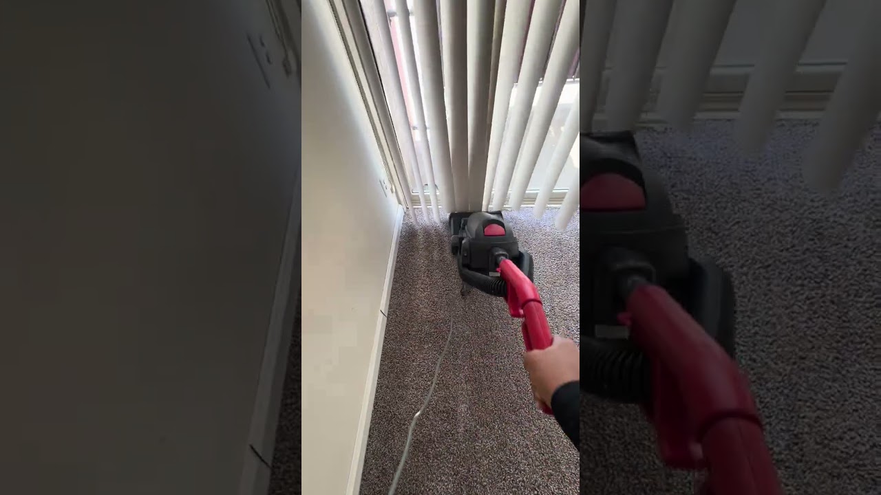 We are definitely cleaning this carpet.