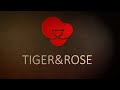 アクセサリー感覚。「TIGER&ROSE 完全ワイヤレスイヤホン」開封 & レビュー | タイガー & ローズ Review【 INDIEGOGO 】