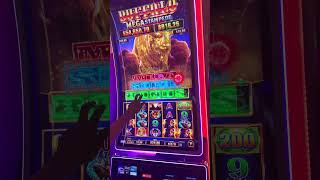 Had a feeling and THE BUFFALOES STARTED HANDING BONUSES #slot #casino #slotmachine #comedy