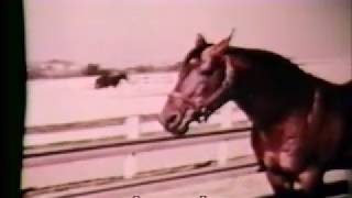 1960 ADIOS Delvin Miller Meadow Lands Farm Pa
