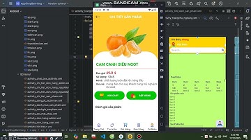 (ANDROID JAVA + SQLITE + BÁO CÁO WORD) App bán trái cây android có quản trị và người dùng