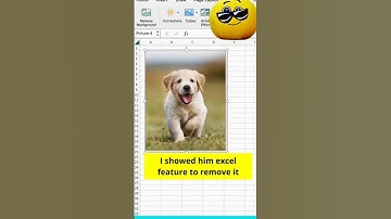 powerfull excel tricks to remove the image background😊