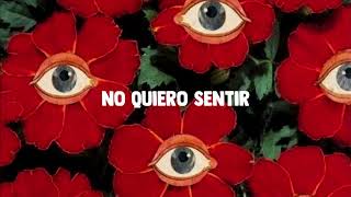 Soy Seba - Amarte A Medias