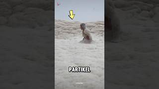 Jangan Berenang Jika Air Lautnya Berbusa