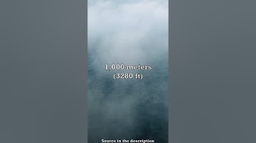 Difference Between Mist And Fog