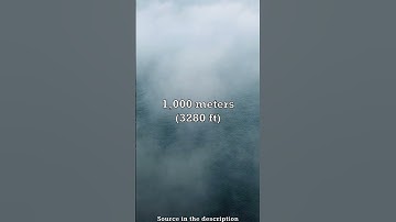 Difference Between Mist And Fog