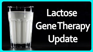 Am I still lactose tolerant? - Lactose Gene Therapy Update