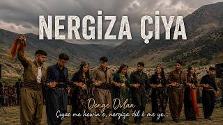 Nergi̇za Çi̇ya Afro Trap (Denge Dilan Rock Cover)