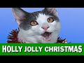 JINGLE CATS "Holly Jolly Christmas"